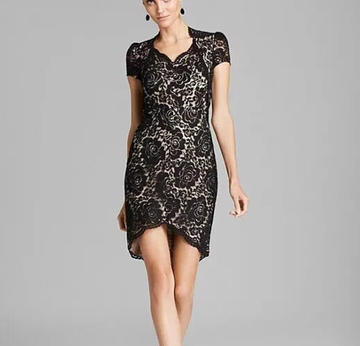 Cynthia Steffe Black Floral Lace Dress Size 8 NEW $298
