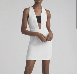 Rag & Bone Mini Dress Size 6 NEW White Black Cutout Izzy $550