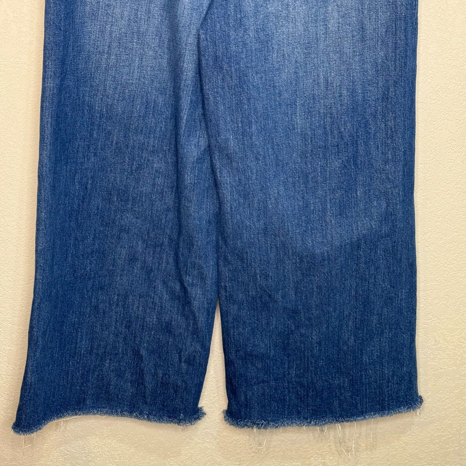 Madewell Wide-Leg Crop Jeans in Frida Wash Size 28