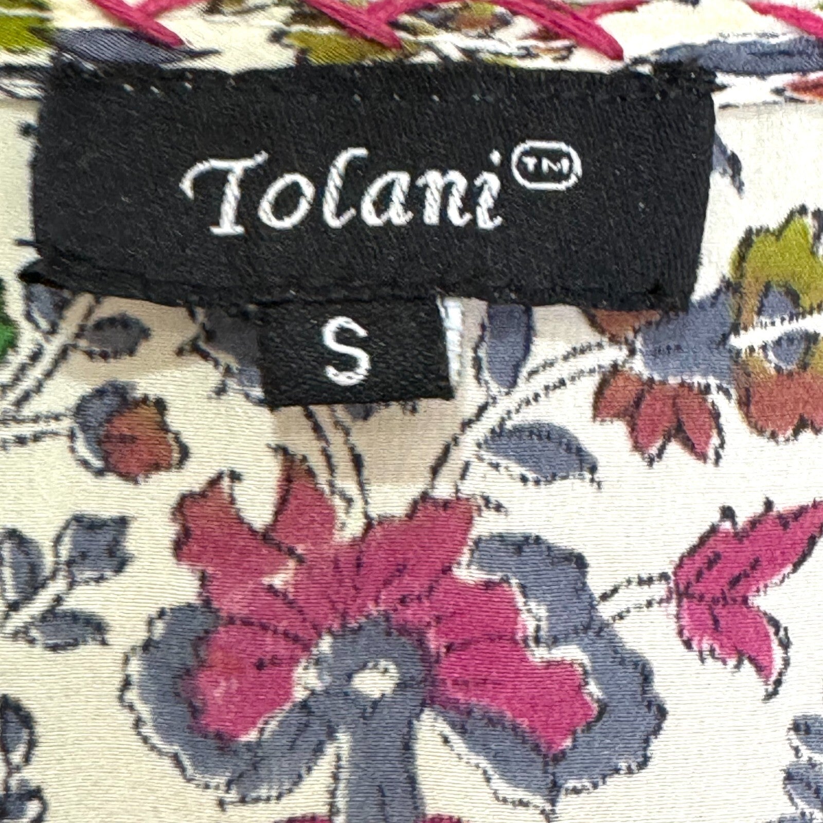 Tolani Silk Printed Madison Dress Tunic Top Size Small Boho Tassels V Neck