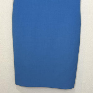Ann Taylor Dress Womens 6 Sleeveless Ruffle Sheath Pleated Trim Career Office