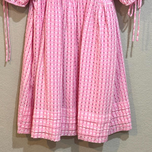 Hyacinth House by Tuckernuck Pink Gingham Leyton Mini Dress Size Medium