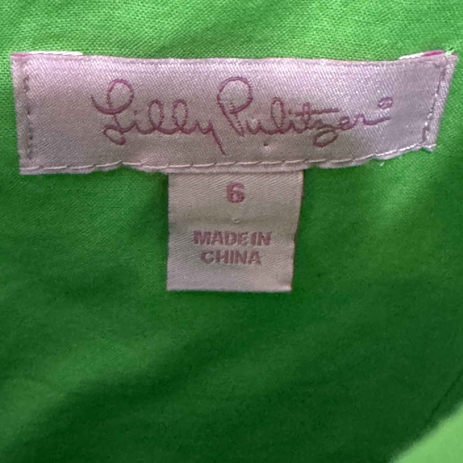 Lilly Pulitzer Dress Posey Daisy Lane 6 Green Lace Fit & Flare Sleeveless Party - Flair - Style