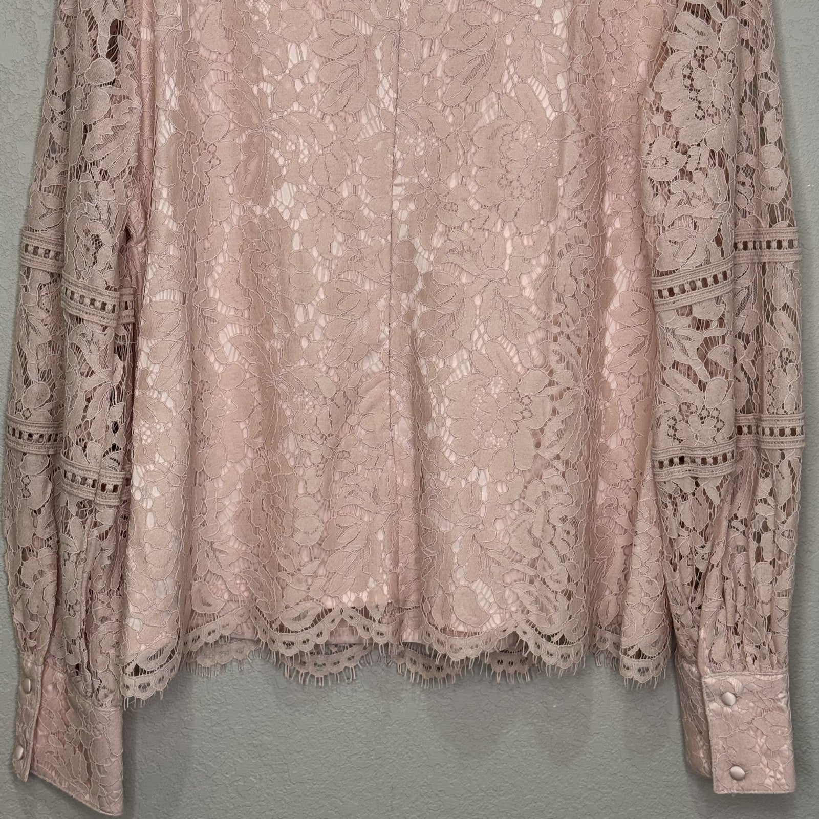 Rachel Parcell Top Womens Large Pink Lace Long Sleeve Blouse Sheer Floral Dressy - Flair - Style