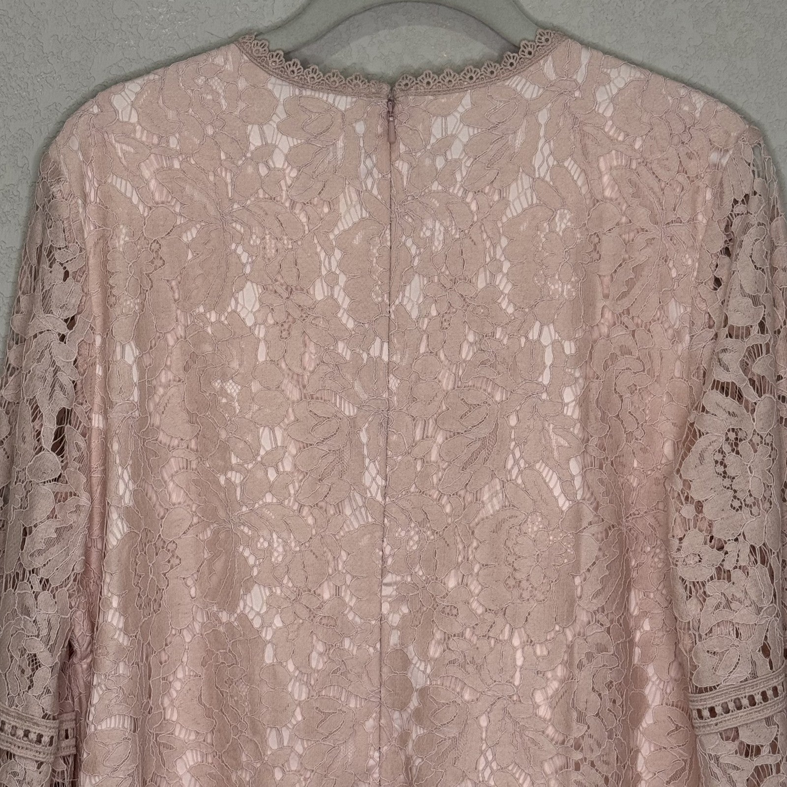 Rachel Parcell Top Womens Large Pink Lace Long Sleeve Blouse Sheer Floral Dressy - Flair - Style