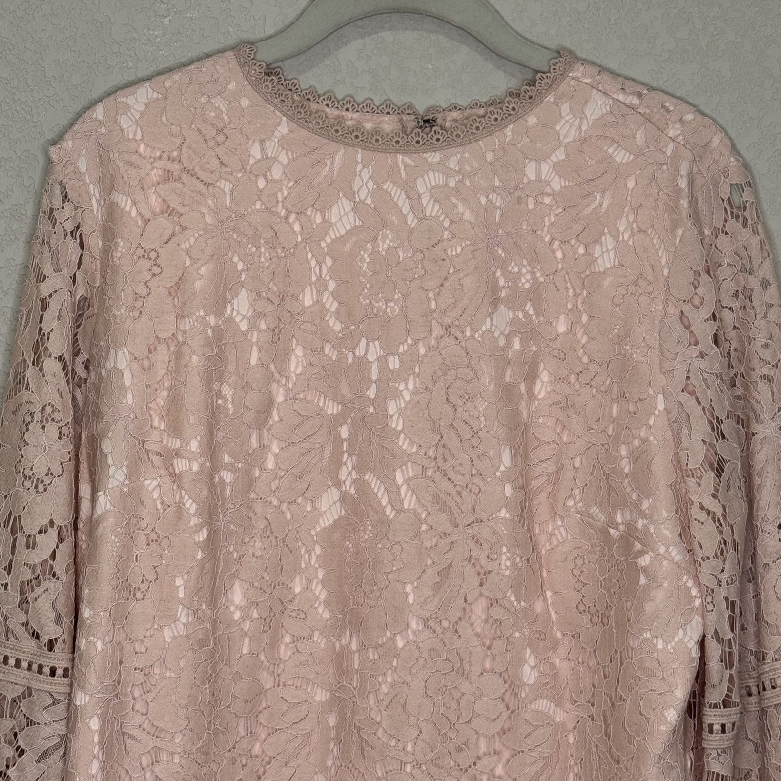 Rachel Parcell Top Womens Large Pink Lace Long Sleeve Blouse Sheer Floral Dressy - Flair - Style