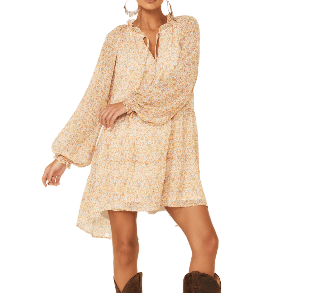 Show Me Your Mumu Paisley Birdie Mini Dress Size Large Floral Sheer Sleeves - Flair - Style